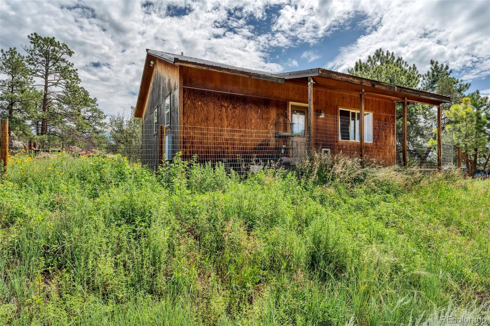 MLS Image #0 for 4205  county road 11 ,florissant, Colorado