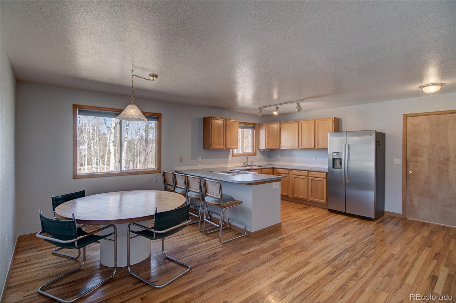 MLS Image #5 for 533  burland drive,bailey, Colorado