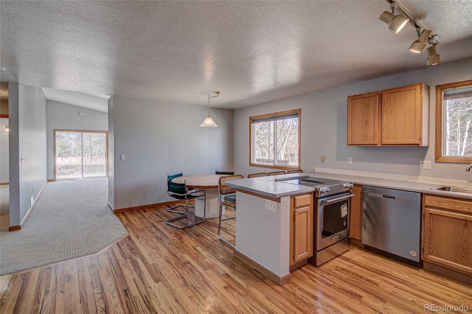 MLS Image #6 for 533  burland drive,bailey, Colorado