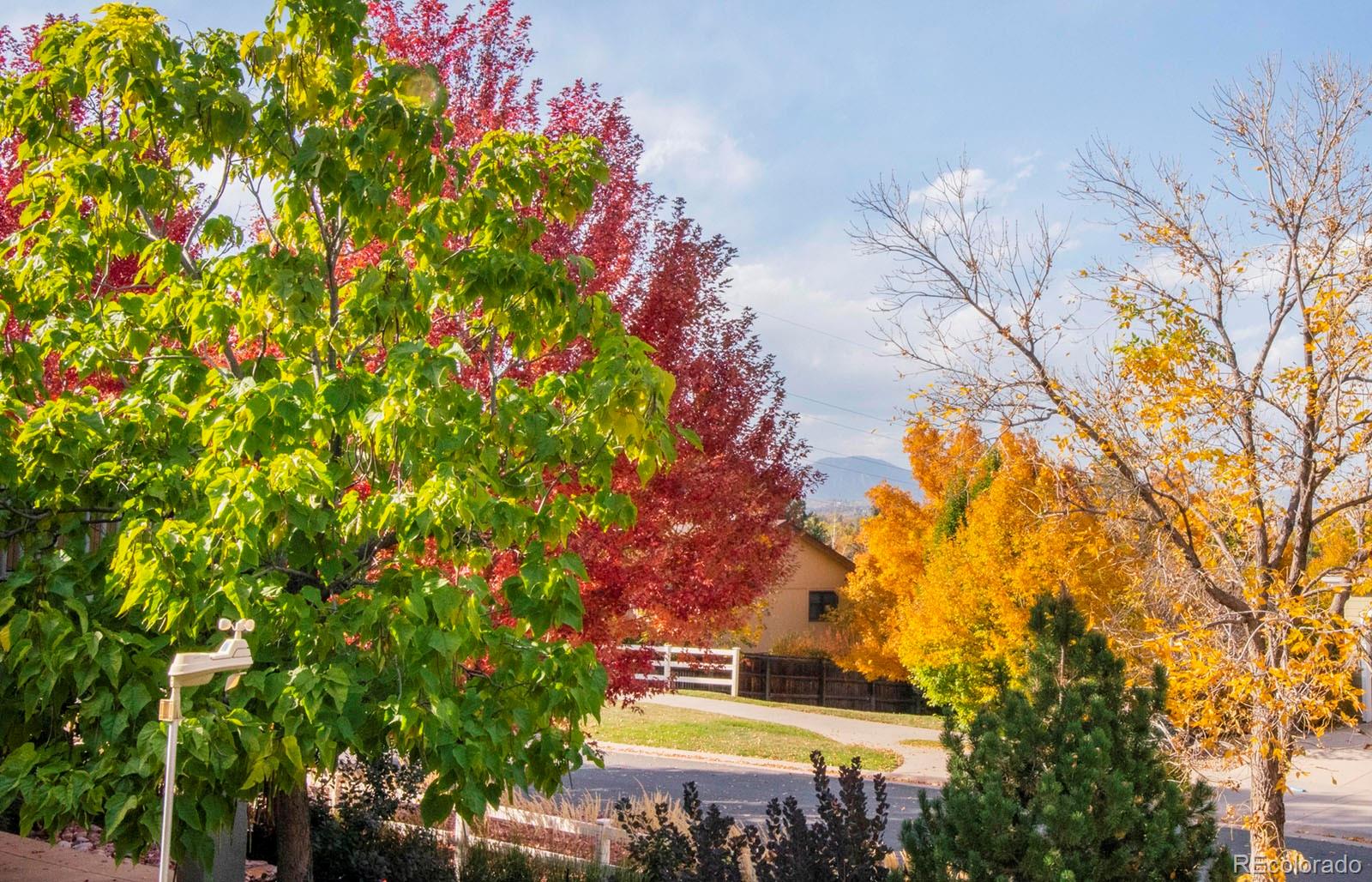 MLS Image #36 for 6739  taft court,arvada, Colorado