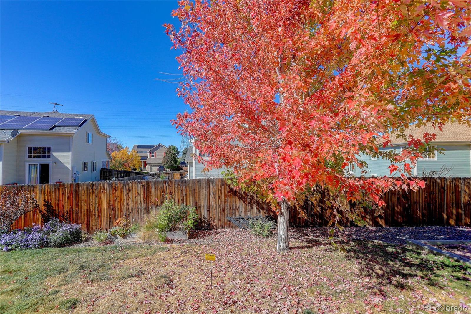 MLS Image #34 for 2471 s andes circle,aurora, Colorado