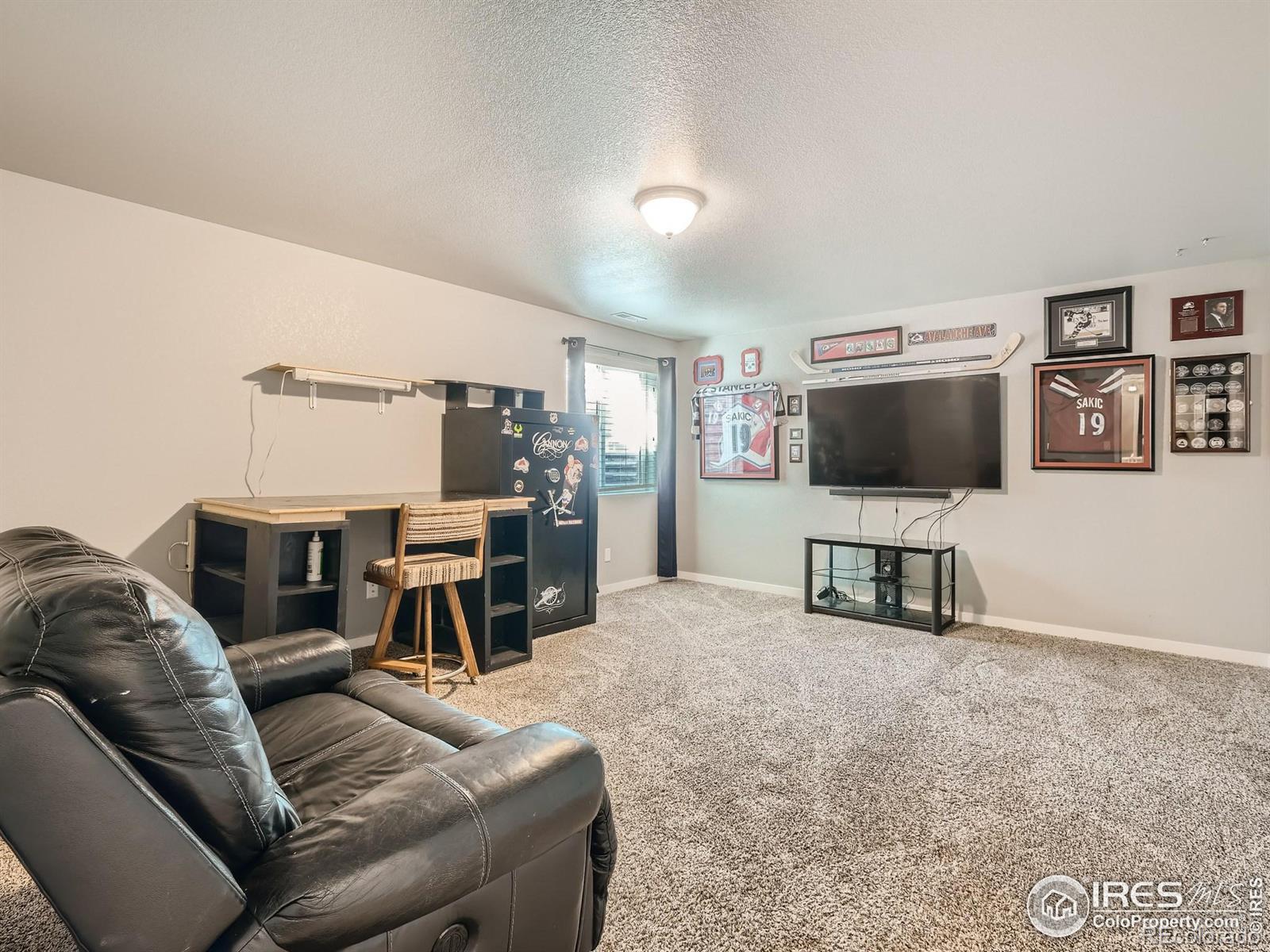 MLS Image #19 for 2209  74th ave ct,greeley, Colorado