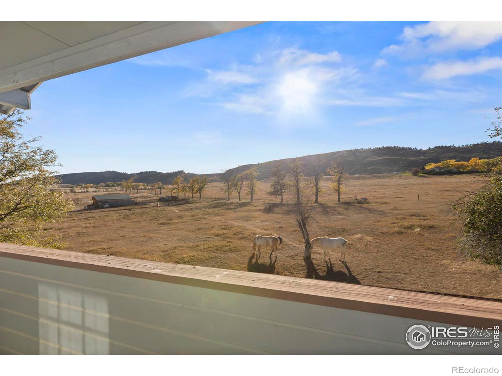 MLS Image #14 for 3200  azalea drive,fort collins, Colorado