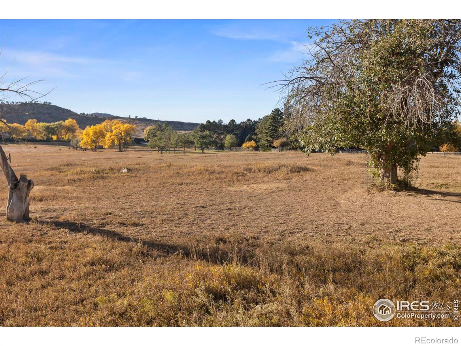 MLS Image #23 for 3200  azalea drive,fort collins, Colorado