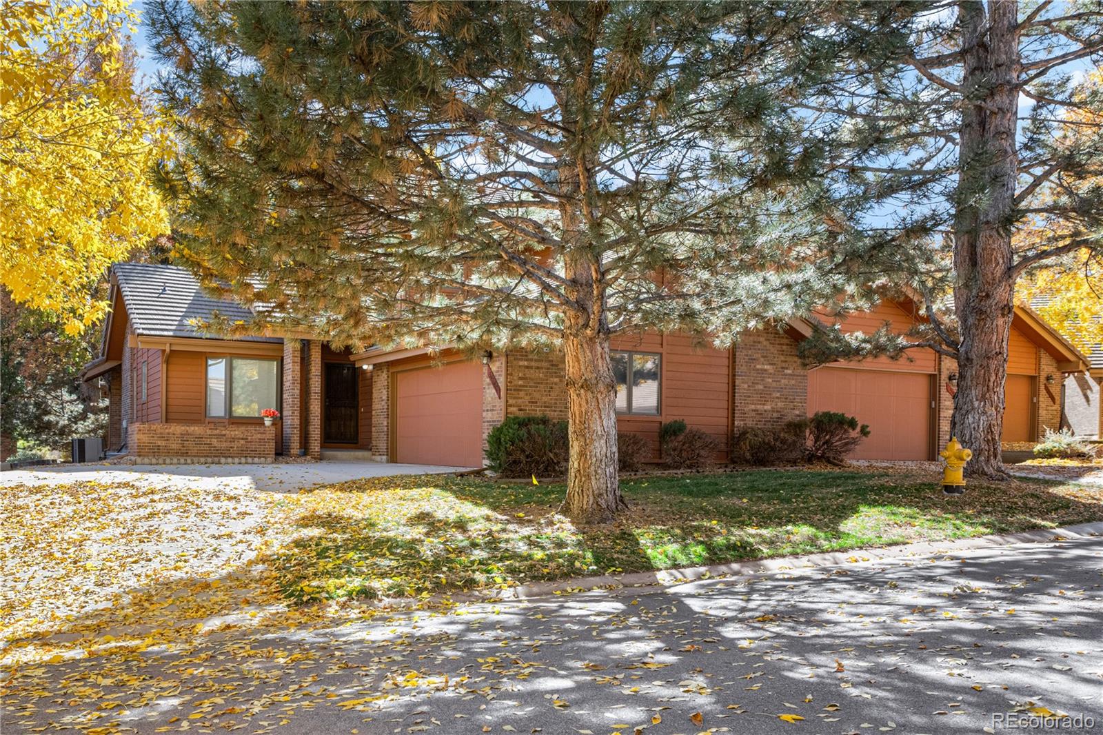 MLS Image #8 for 5414  coyote canyon way,morrison, Colorado