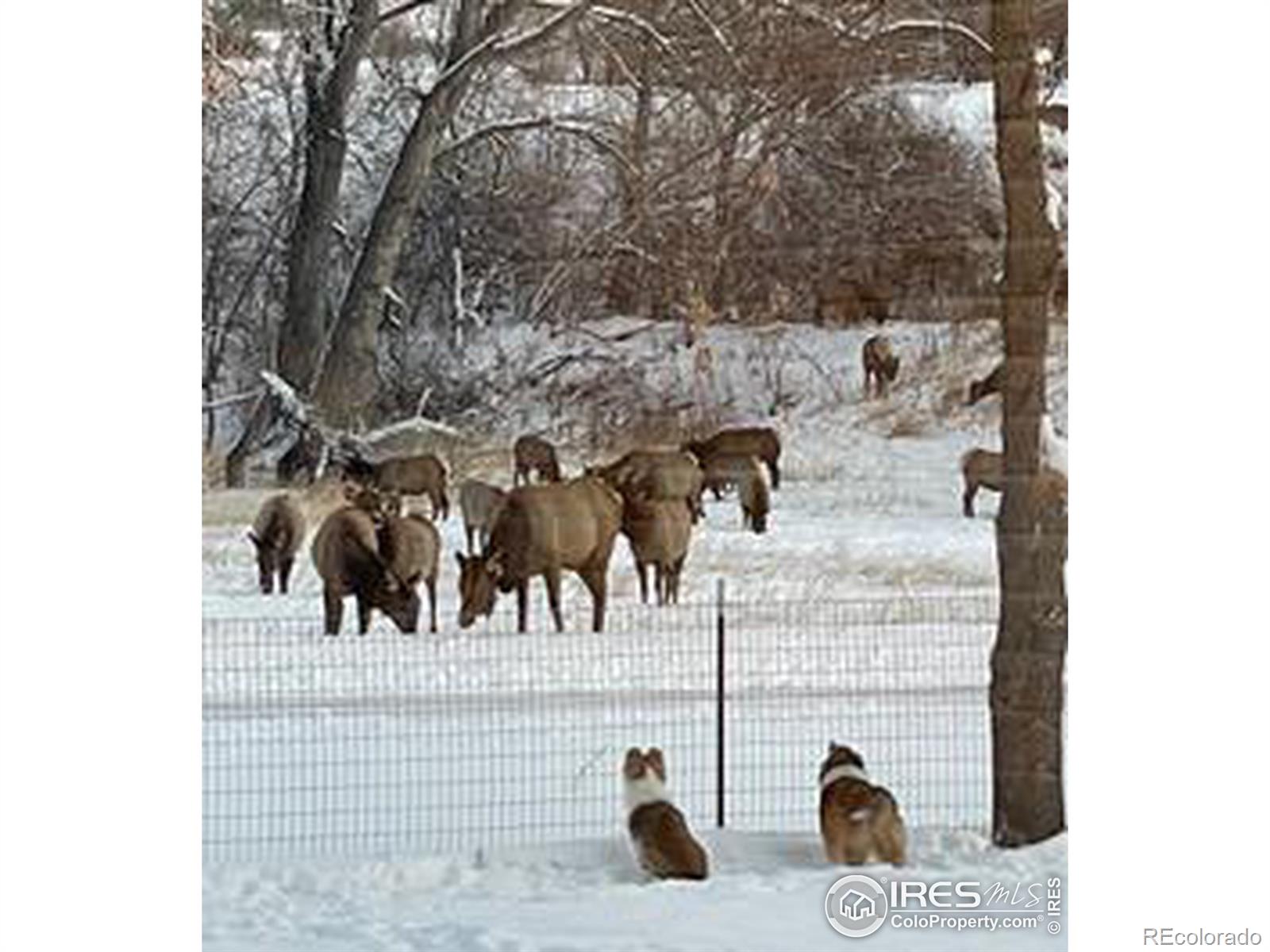 MLS Image #33 for 5519 w us highway 34 ,loveland, Colorado