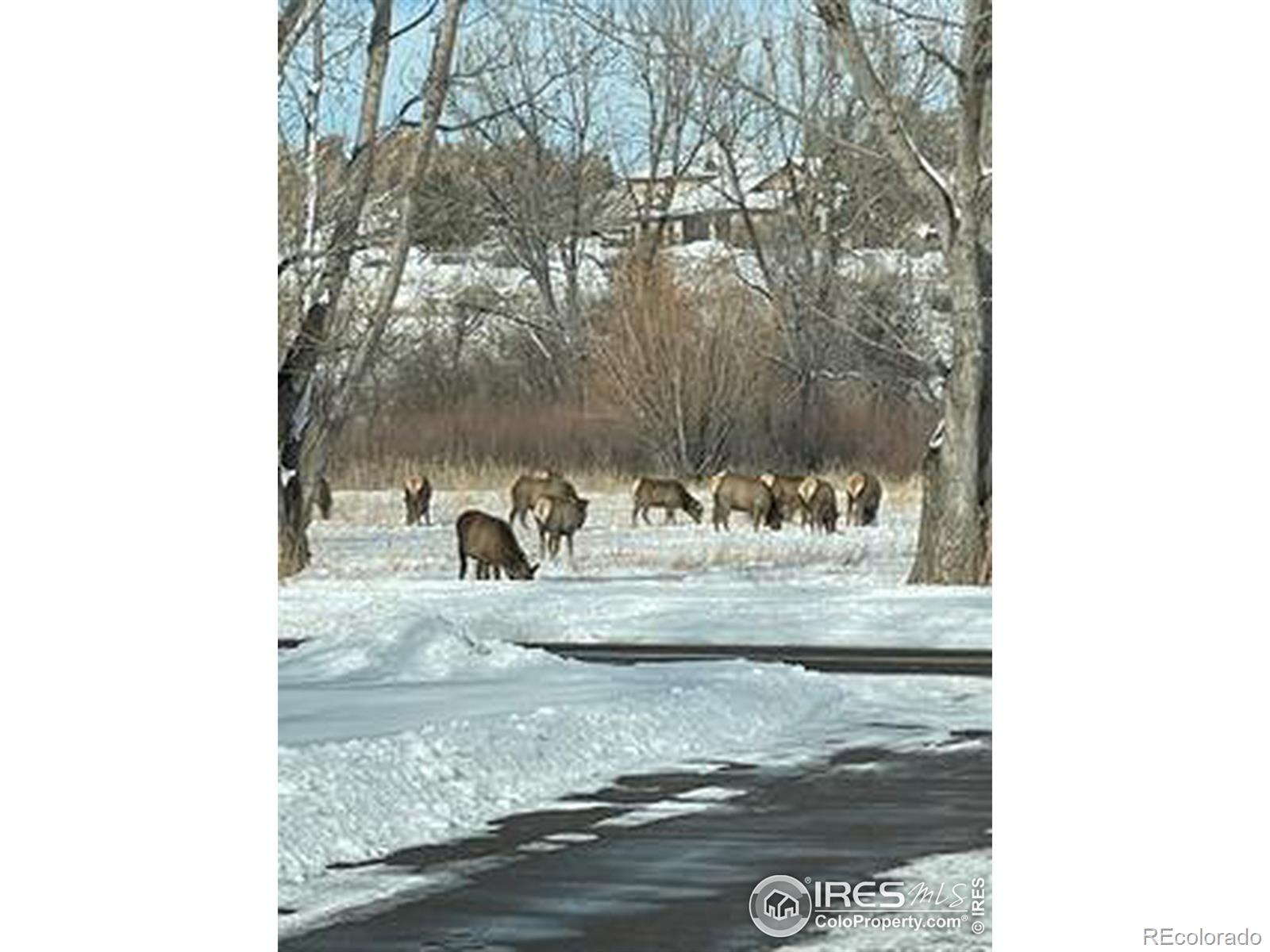 MLS Image #34 for 5519 w us highway 34 ,loveland, Colorado