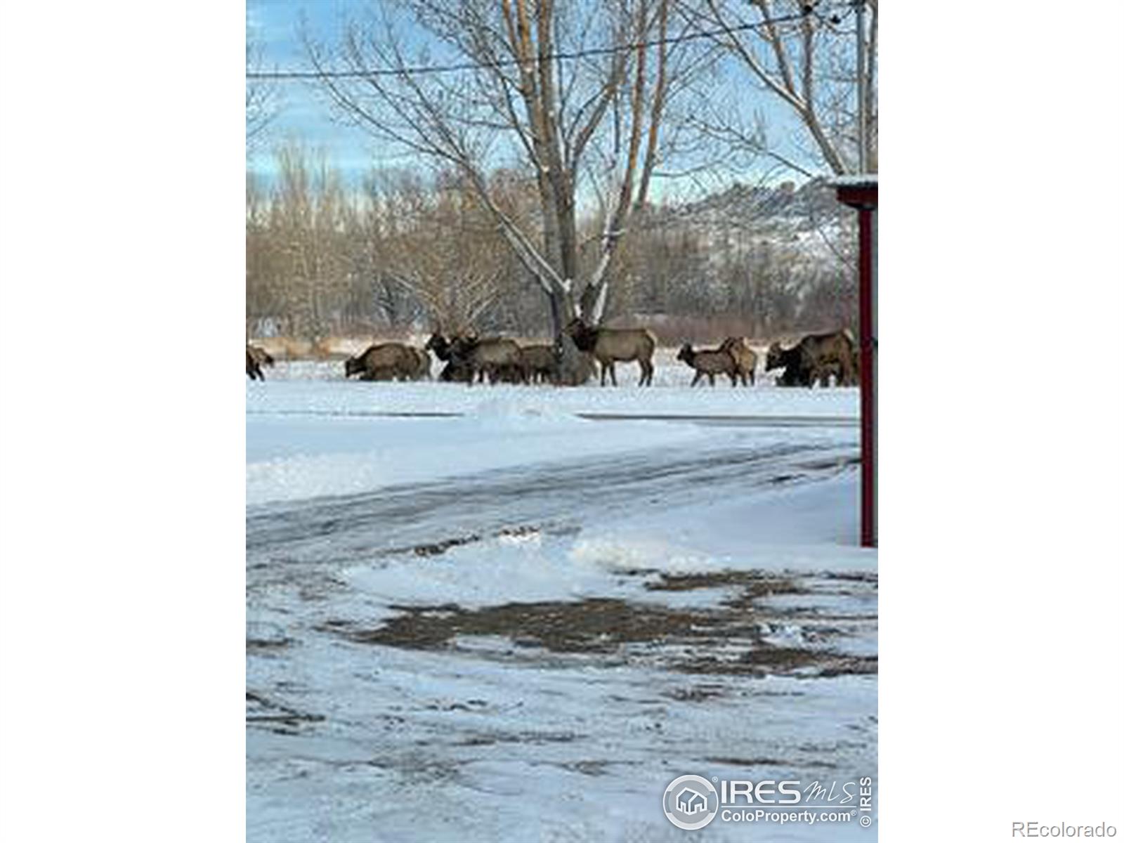 MLS Image #35 for 5519 w us highway 34 ,loveland, Colorado