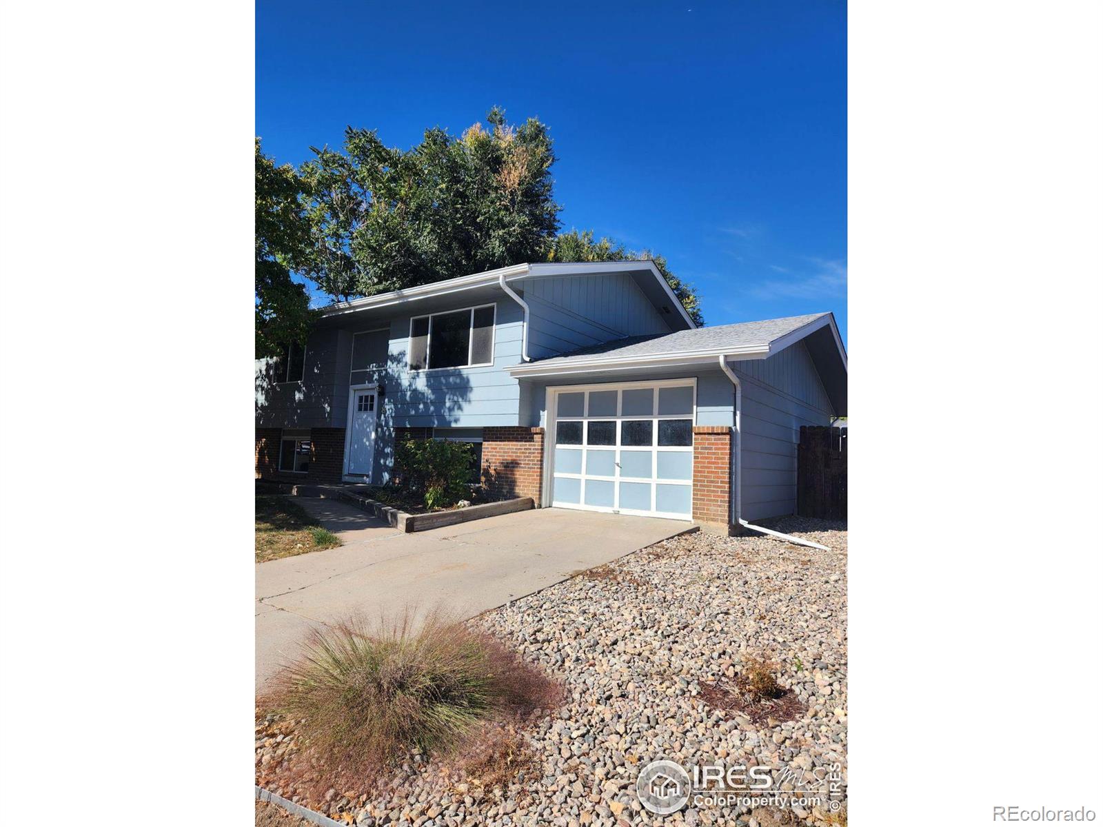 MLS Image #0 for 816  iron mountain court,windsor, Colorado