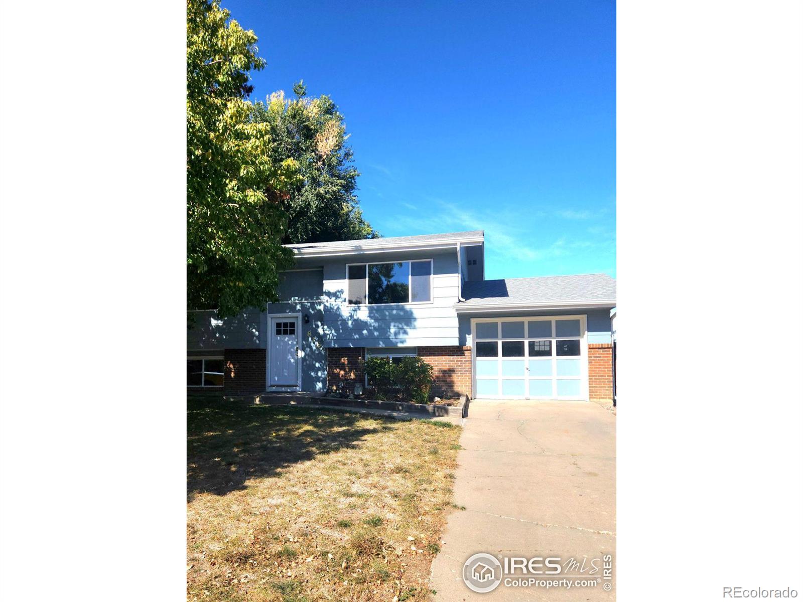 CMA Image for 803  table mountain court,Windsor, Colorado