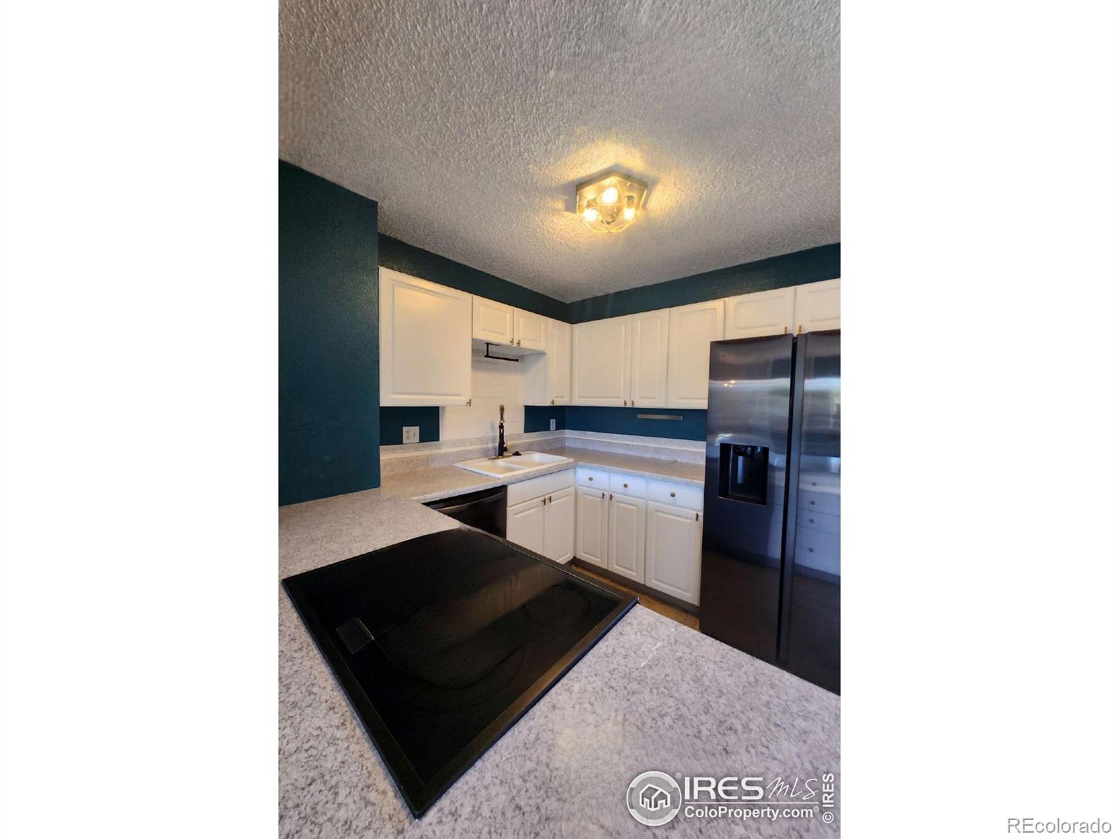 MLS Image #7 for 816  iron mountain court,windsor, Colorado