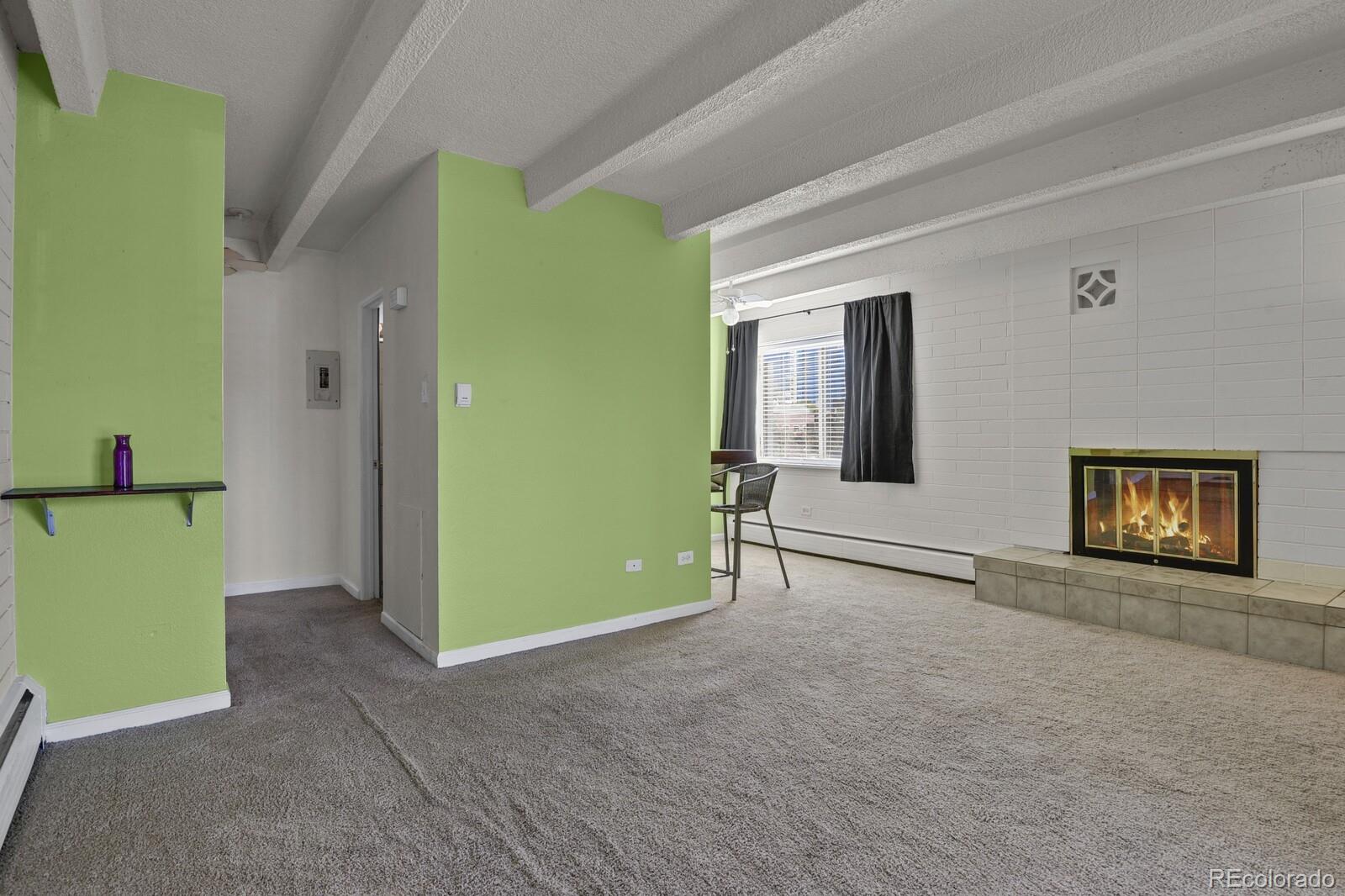 MLS Image #2 for 250 n pearl street 310,denver, Colorado