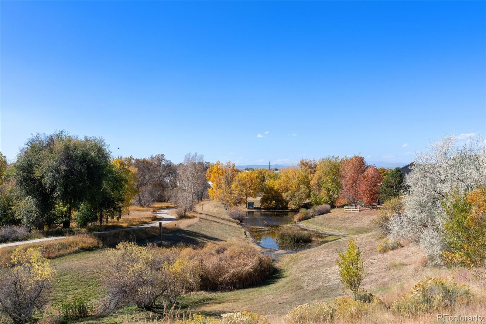 MLS Image #32 for 21069  woodside lane,parker, Colorado