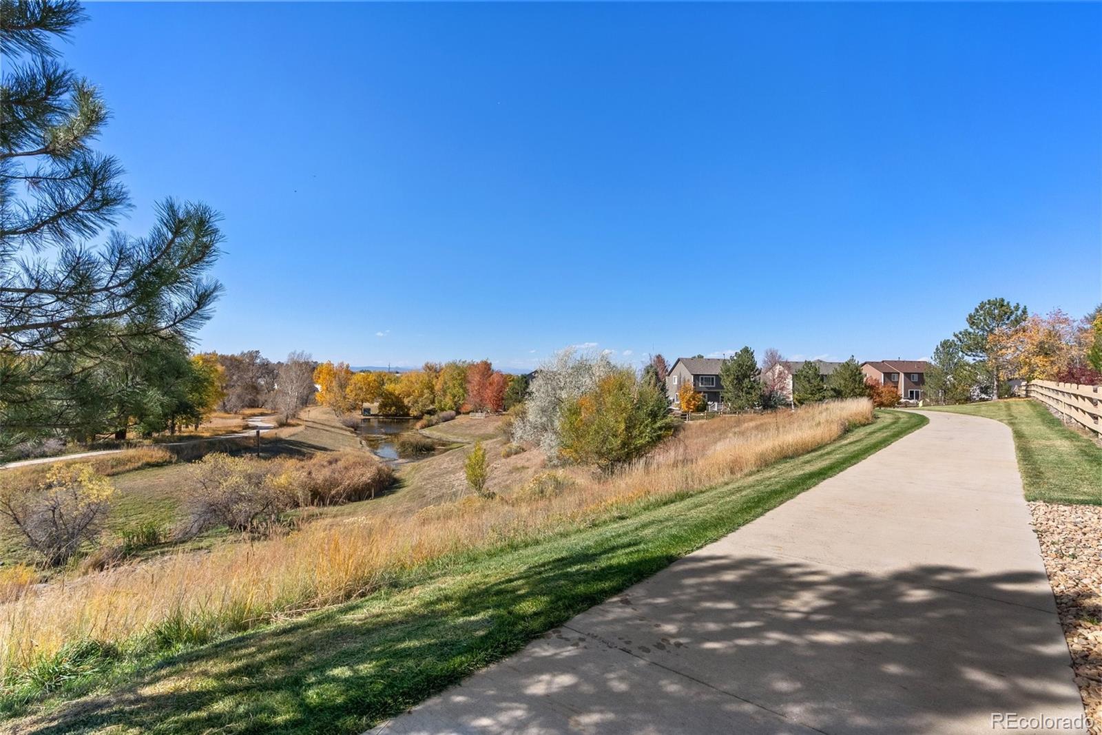 MLS Image #33 for 21069  woodside lane,parker, Colorado