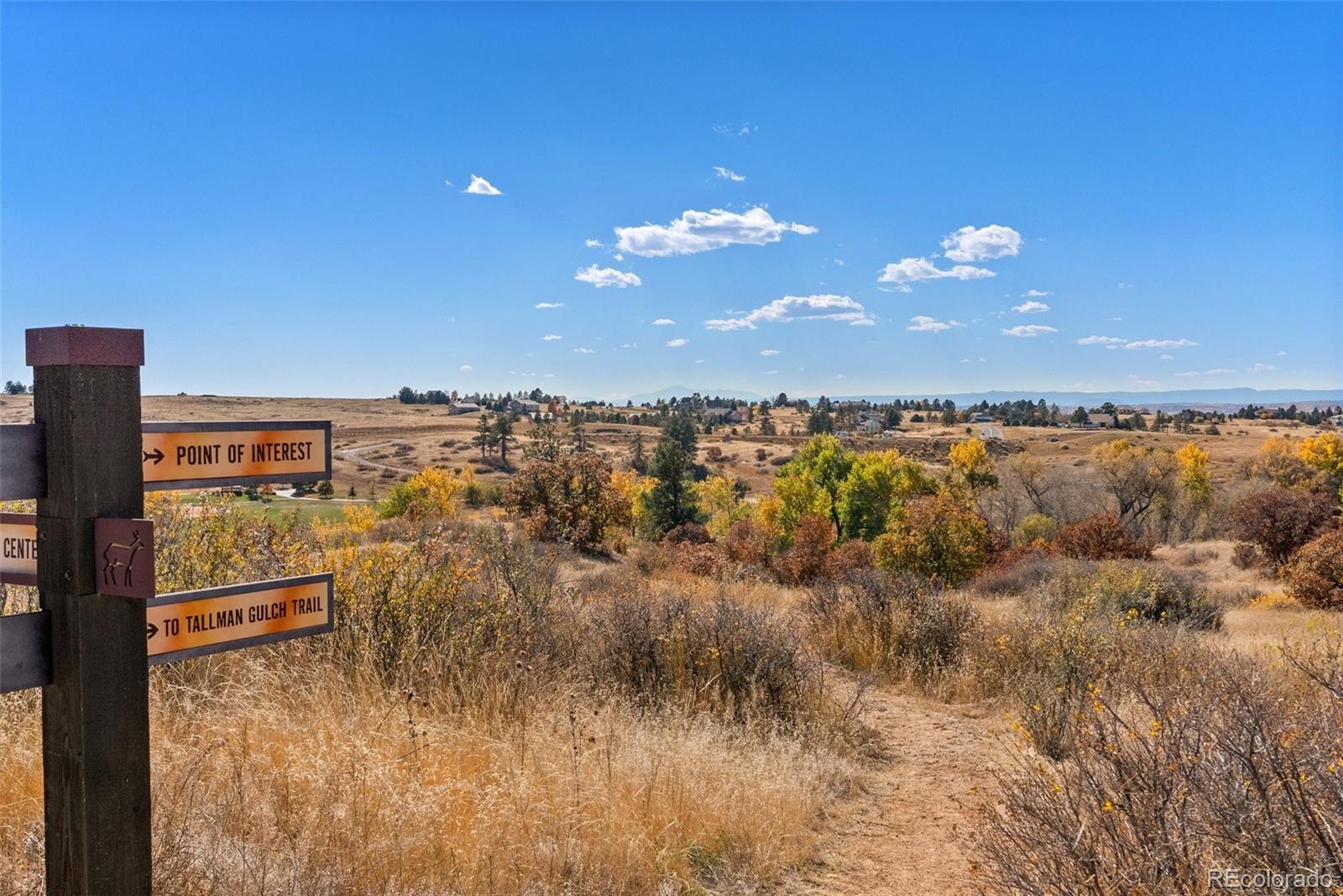 MLS Image #35 for 21069  woodside lane,parker, Colorado