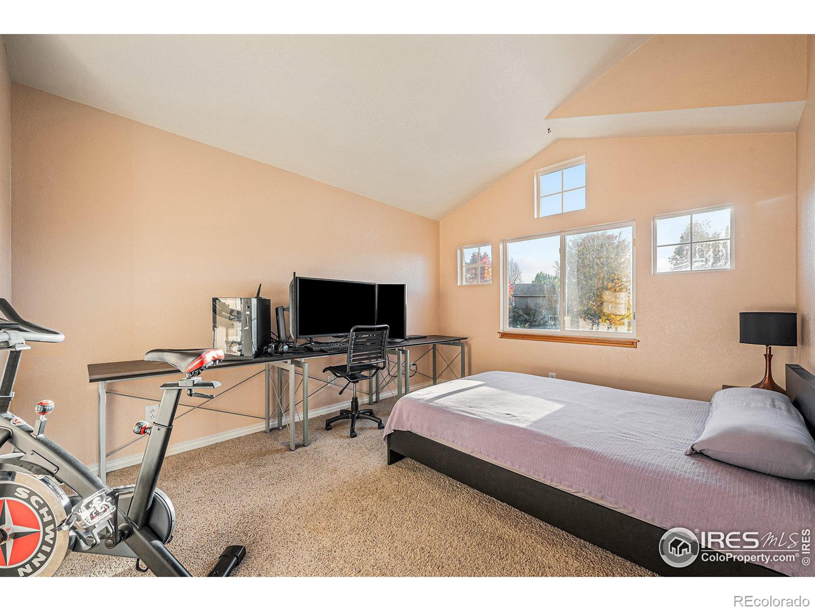 MLS Image #11 for 3911  hawthorne circle,longmont, Colorado