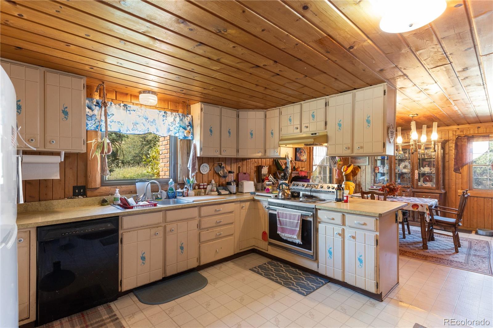 MLS Image #9 for 10925 w highway 24 ,green mountain falls, Colorado