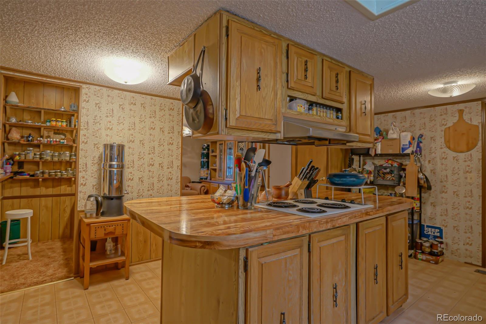 MLS Image #13 for 21099  trujillo creek road,aguilar, Colorado