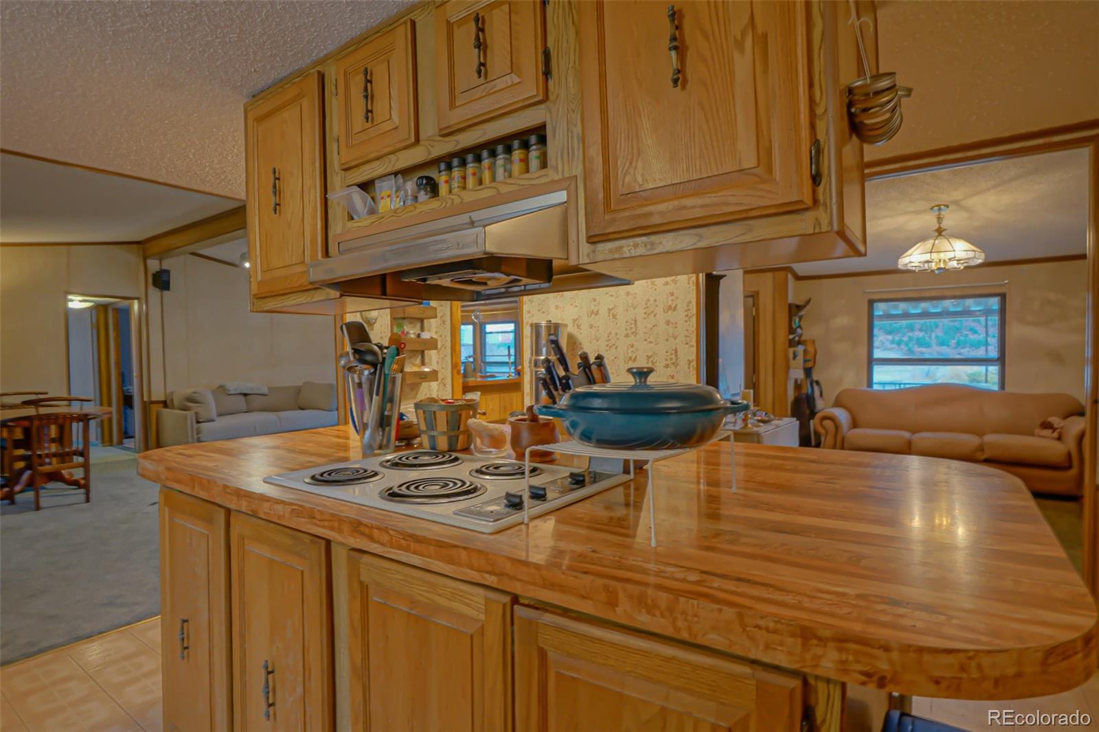 MLS Image #14 for 21099  trujillo creek road,aguilar, Colorado