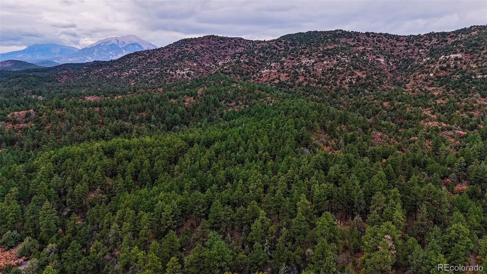 MLS Image #32 for 21099  trujillo creek road,aguilar, Colorado