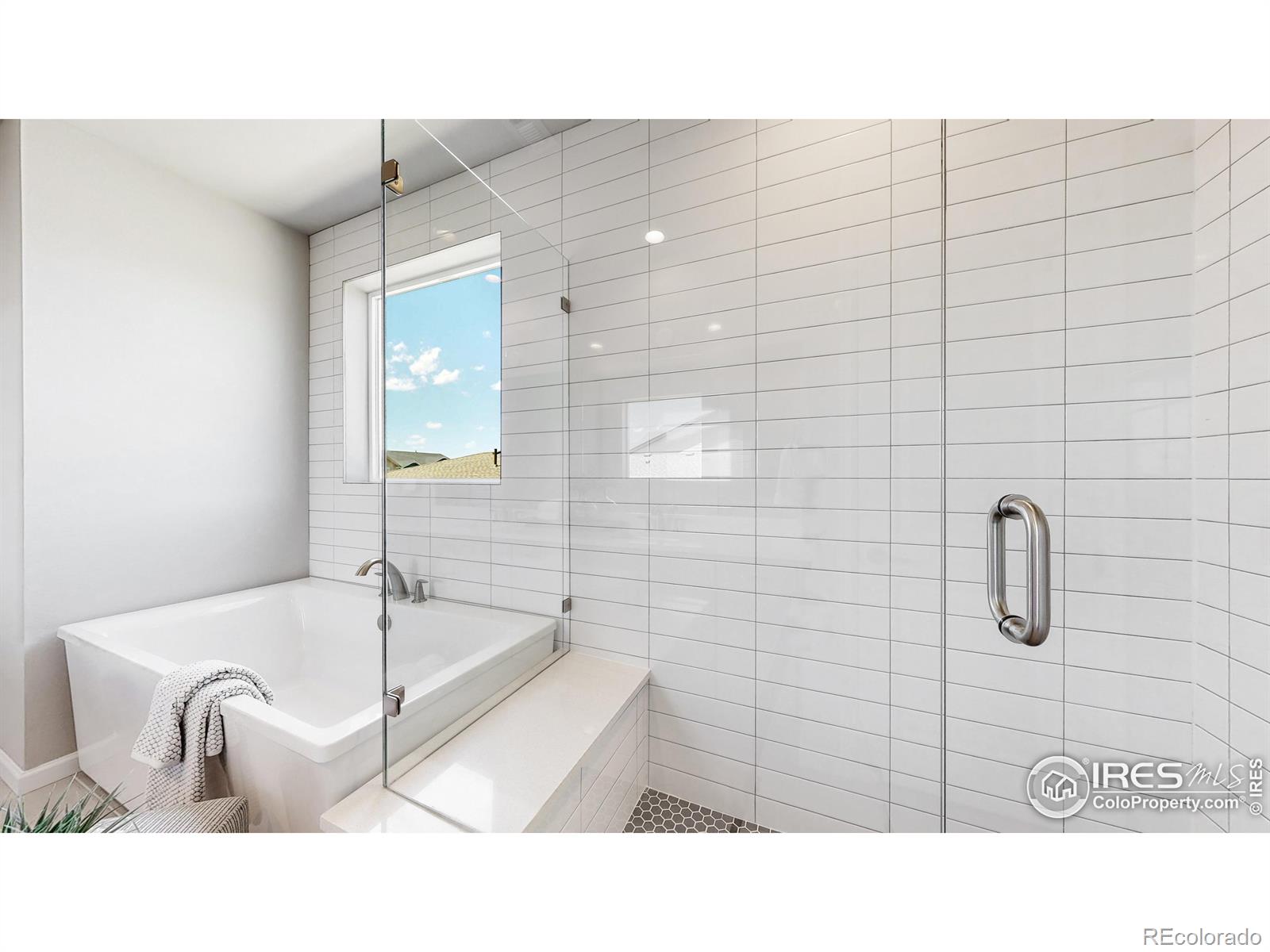 MLS Image #29 for 5084  blanchette street,timnath, Colorado