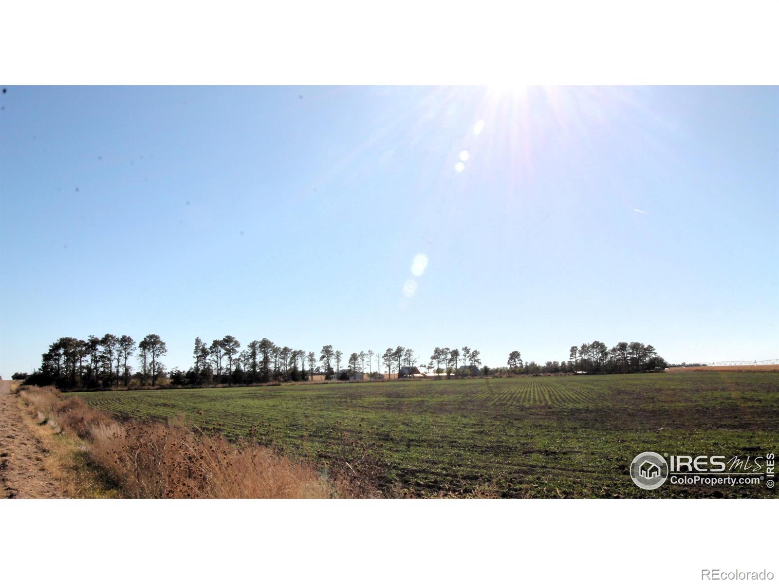 MLS Image #7 for 3317  county road 71 ,fleming, Colorado