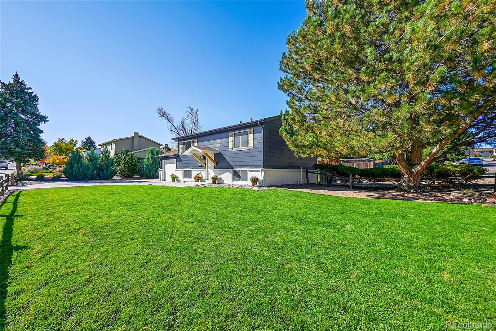 MLS Image #2 for 6905 s dexter street,centennial, Colorado