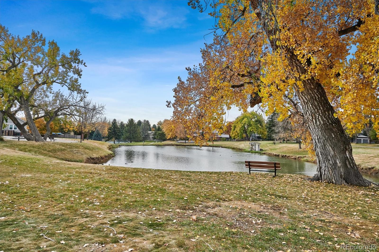 MLS Image #46 for 6377 s wolff court,littleton, Colorado