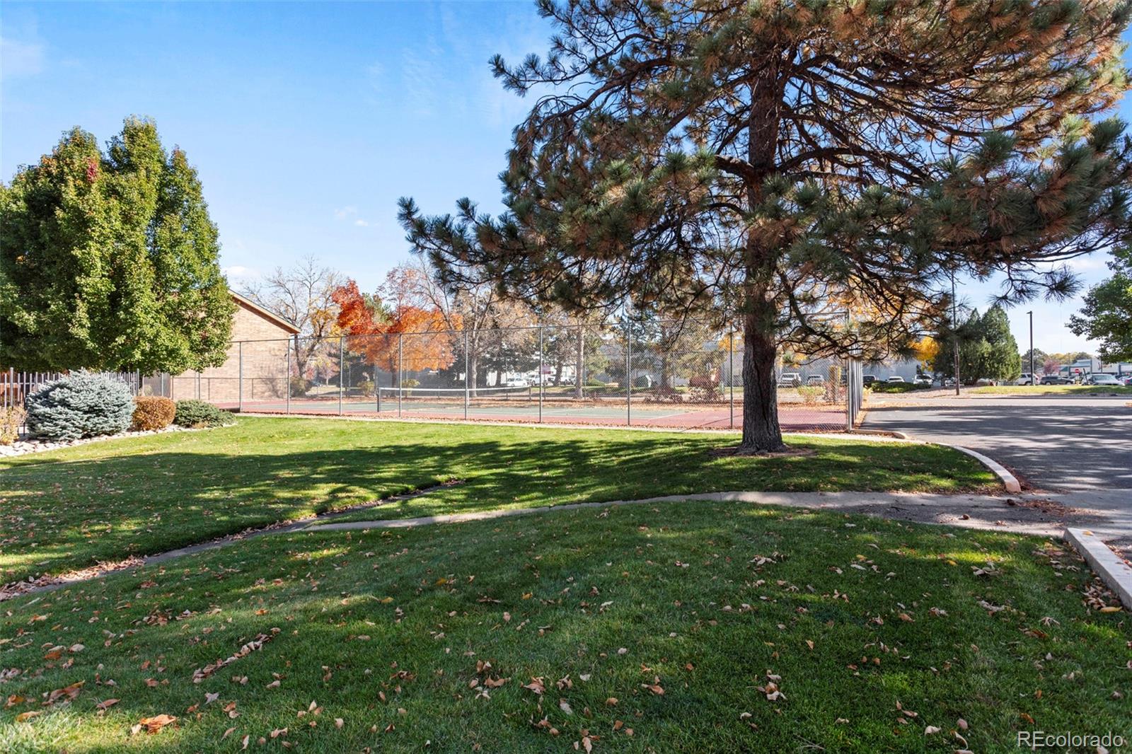 MLS Image #14 for 3325 s ammons street,lakewood, Colorado