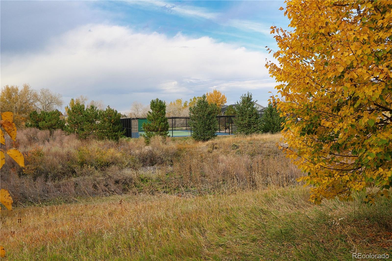 MLS Image #31 for 8214  lodgepole trail,lone tree, Colorado