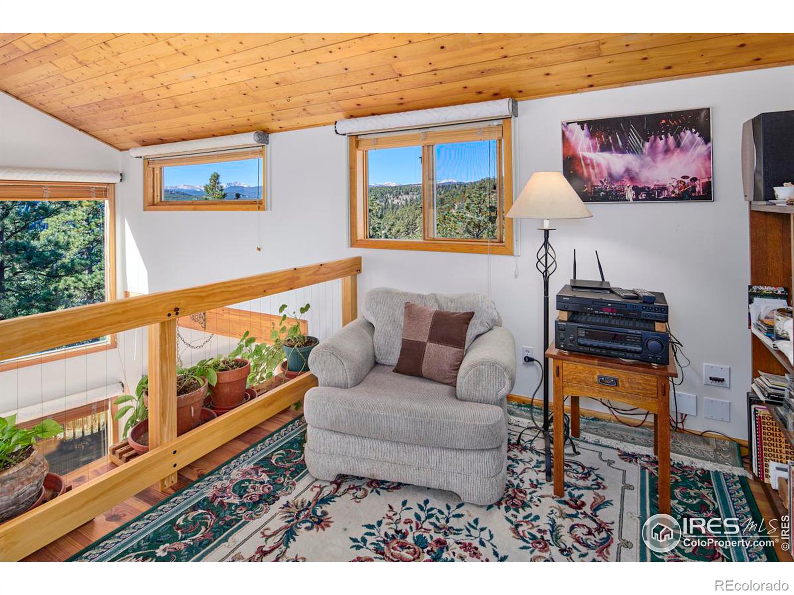 MLS Image #13 for 200  rocky knob lane,nederland, Colorado