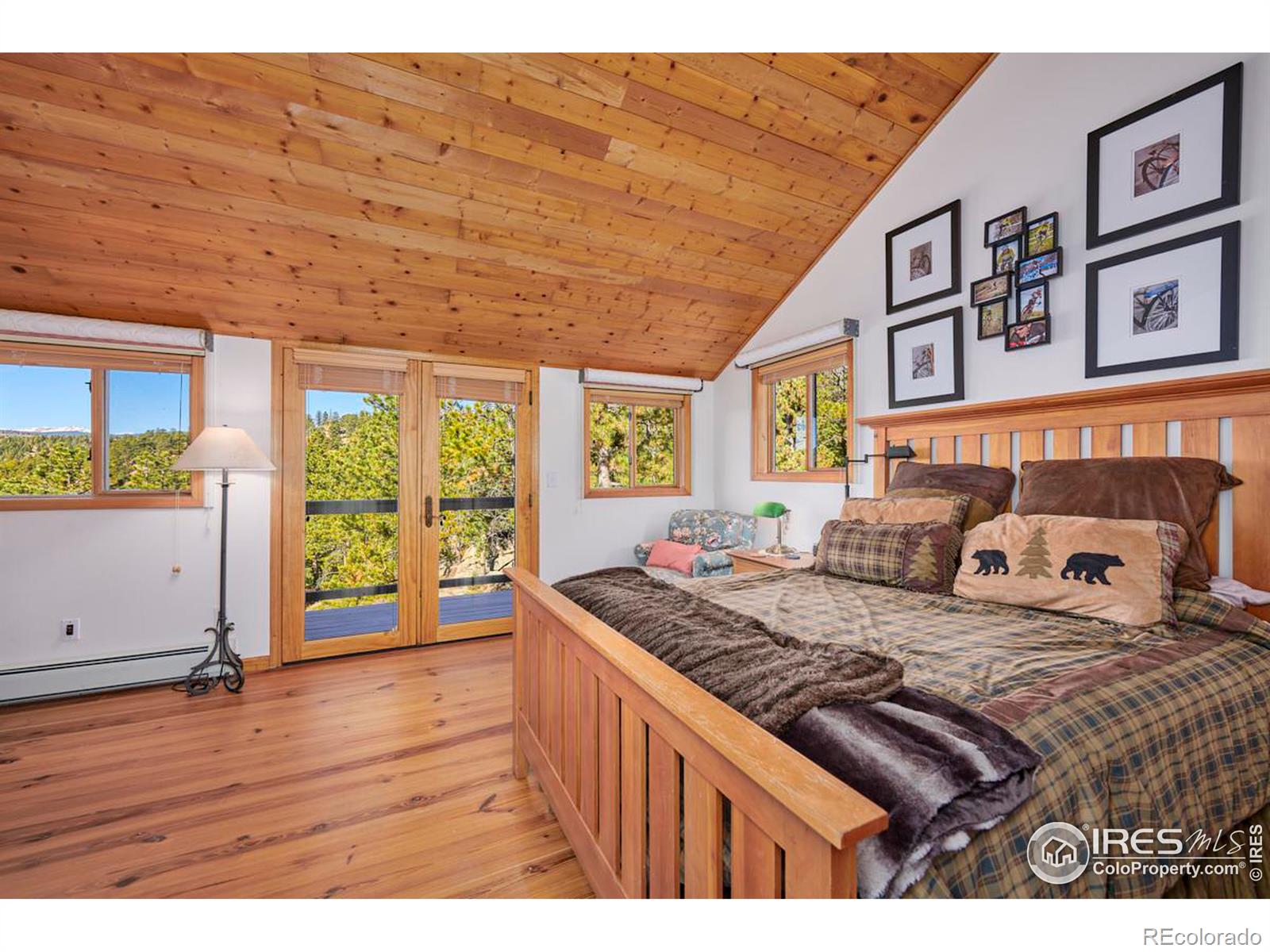 MLS Image #14 for 200  rocky knob lane,nederland, Colorado