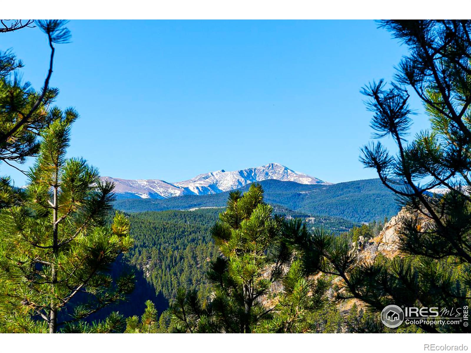 MLS Image #24 for 200  rocky knob lane,nederland, Colorado