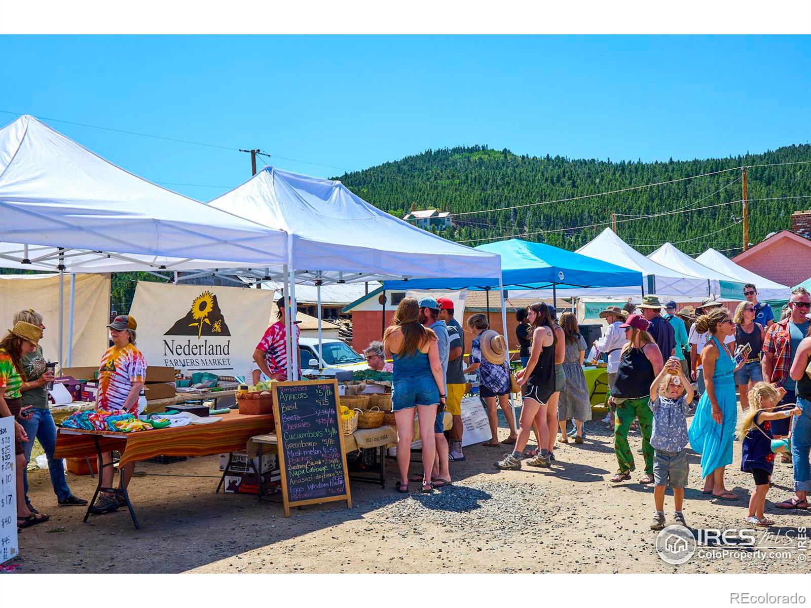 MLS Image #29 for 200  rocky knob lane,nederland, Colorado