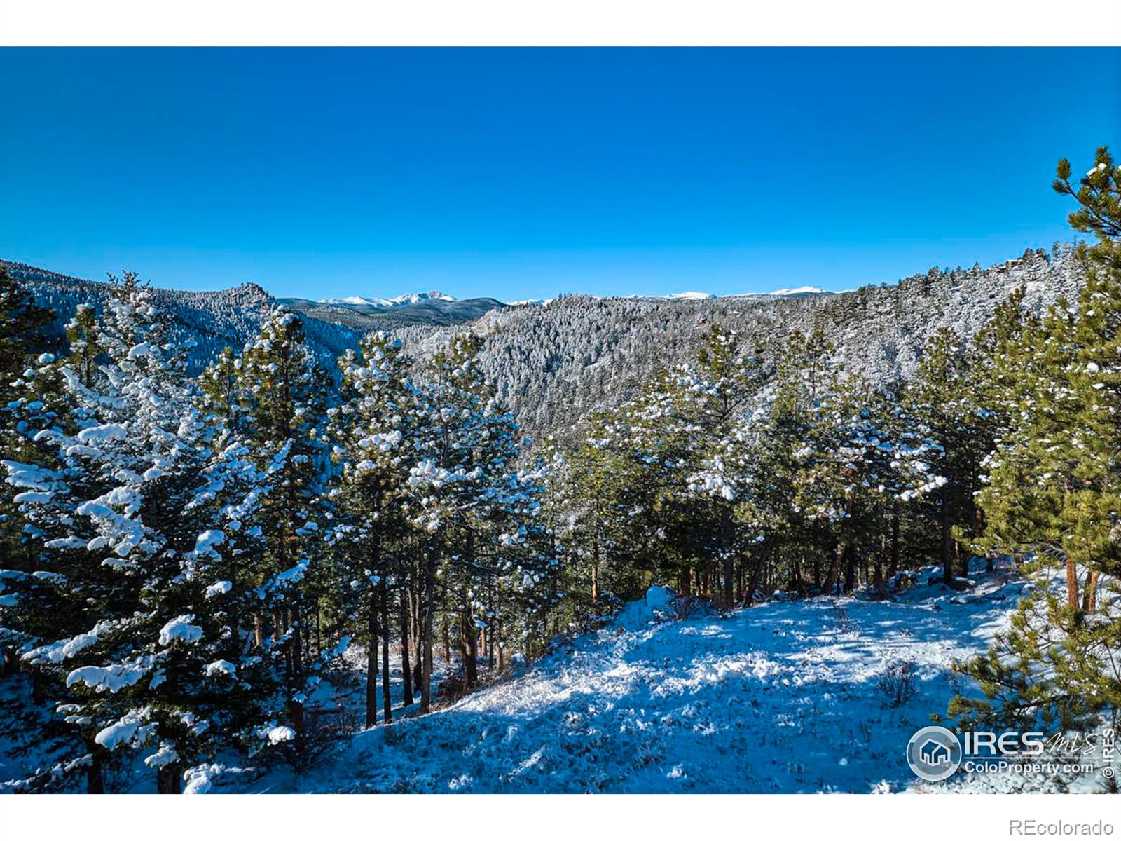 MLS Image #33 for 200  rocky knob lane,nederland, Colorado