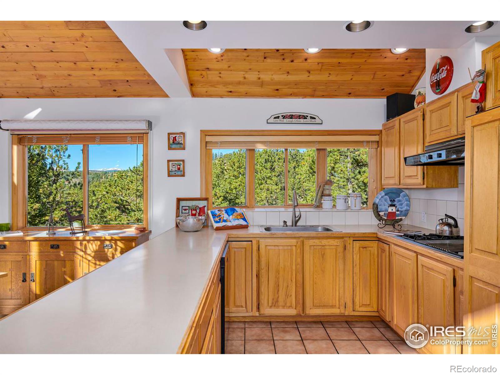 MLS Image #8 for 200  rocky knob lane,nederland, Colorado