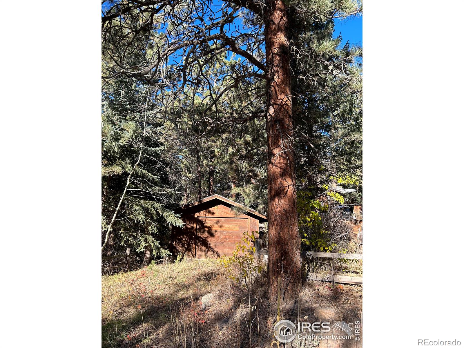 MLS Image #5 for 371  spruce drive,lyons, Colorado