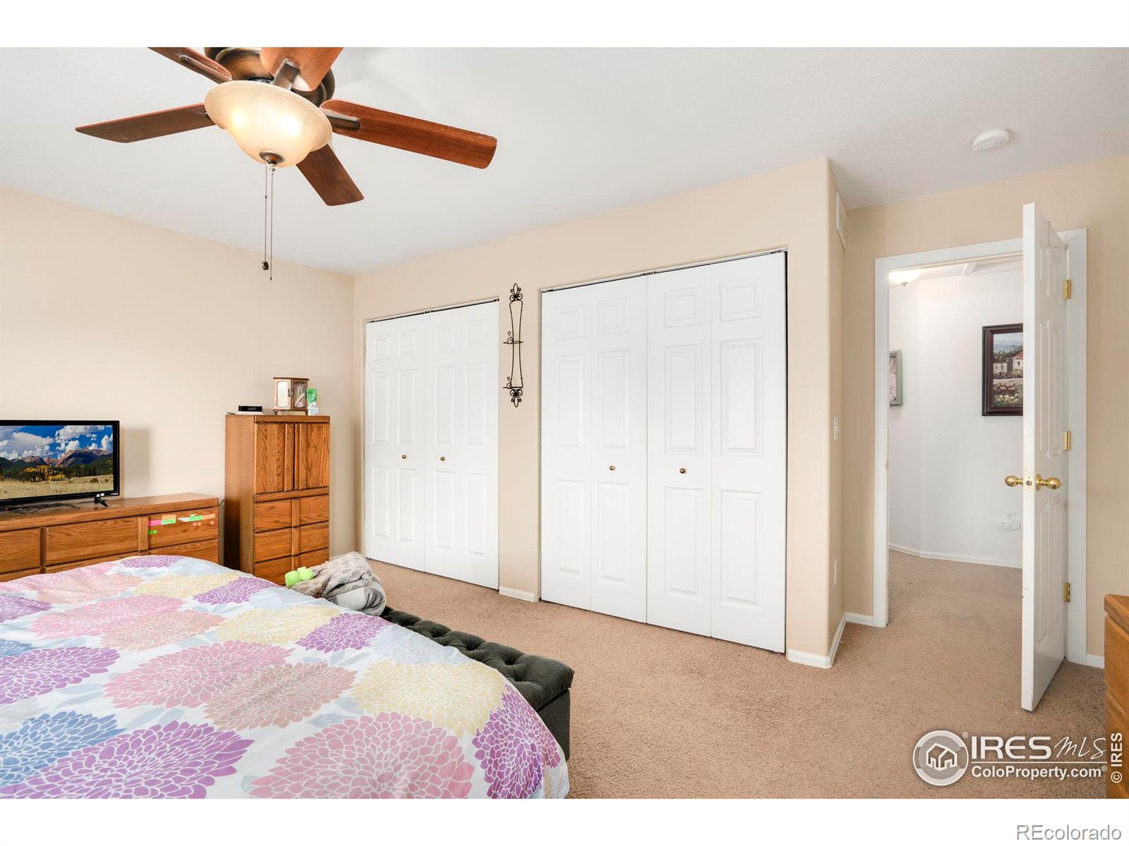 MLS Image #19 for 551  kinnikinnik court,severance, Colorado