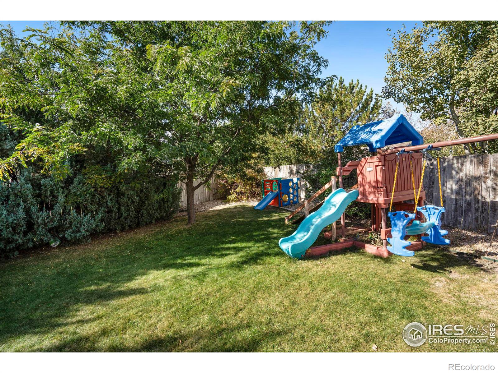 MLS Image #6 for 551  kinnikinnik court,severance, Colorado