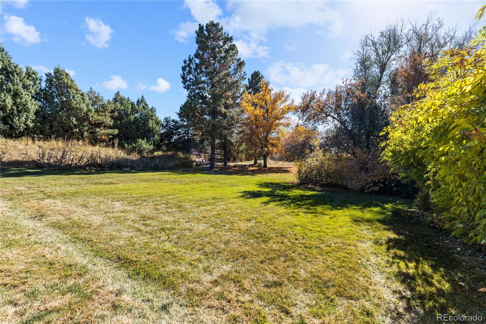 MLS Image #5 for 5490 s dallas street,greenwood village, Colorado