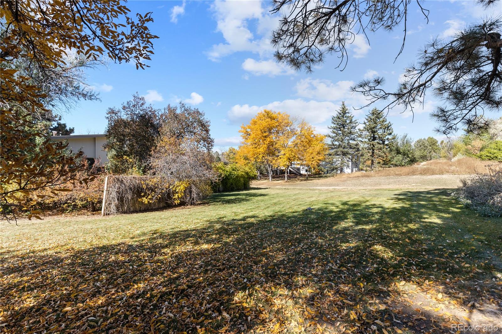 MLS Image #6 for 5490 s dallas street,greenwood village, Colorado