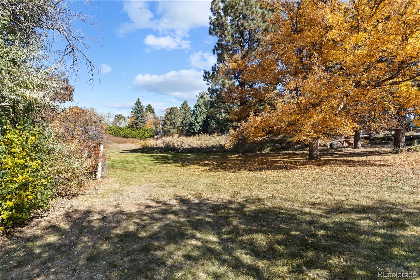 MLS Image #8 for 5490 s dallas street,greenwood village, Colorado