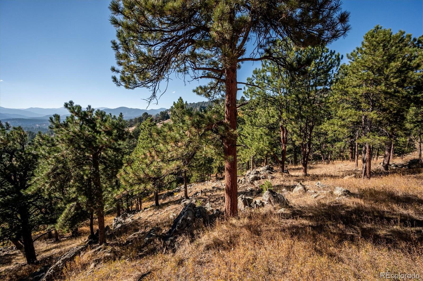 MLS Image #38 for 24748  foothills drive,golden, Colorado