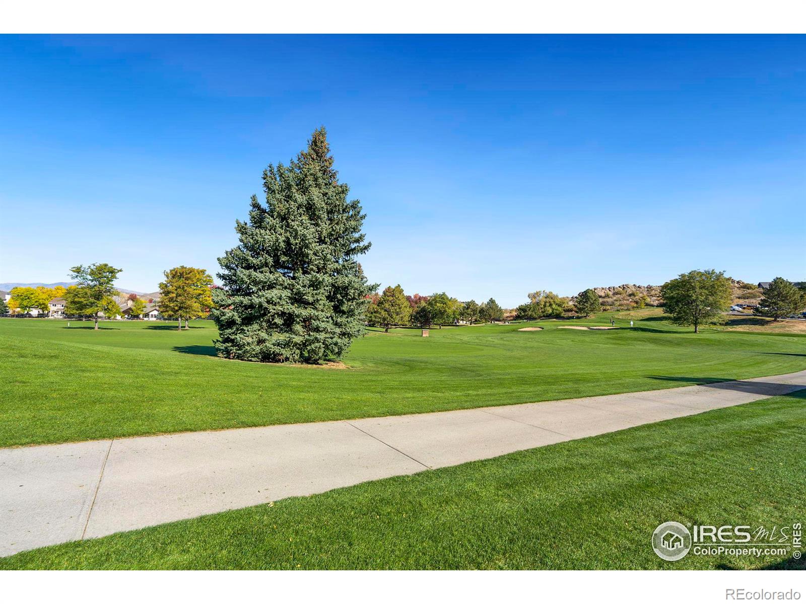 MLS Image #28 for 445  clubhouse court,loveland, Colorado