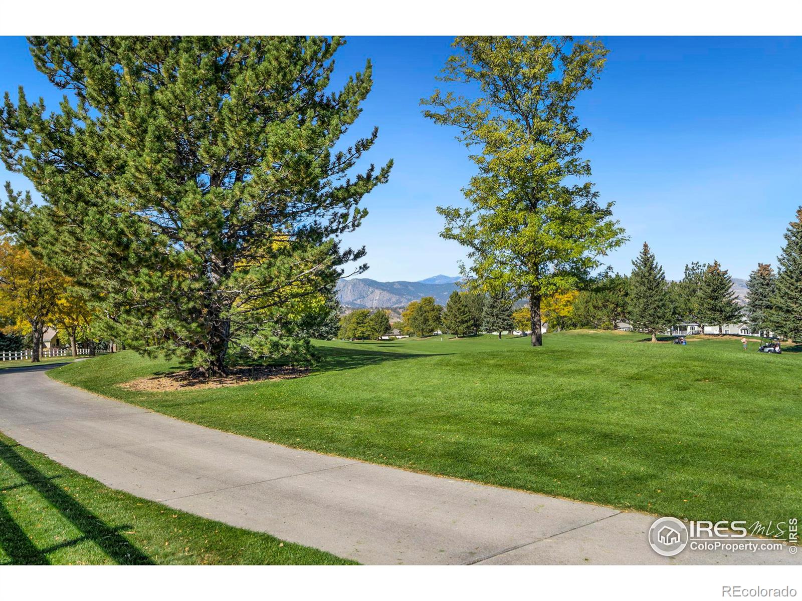 MLS Image #30 for 445  clubhouse court,loveland, Colorado