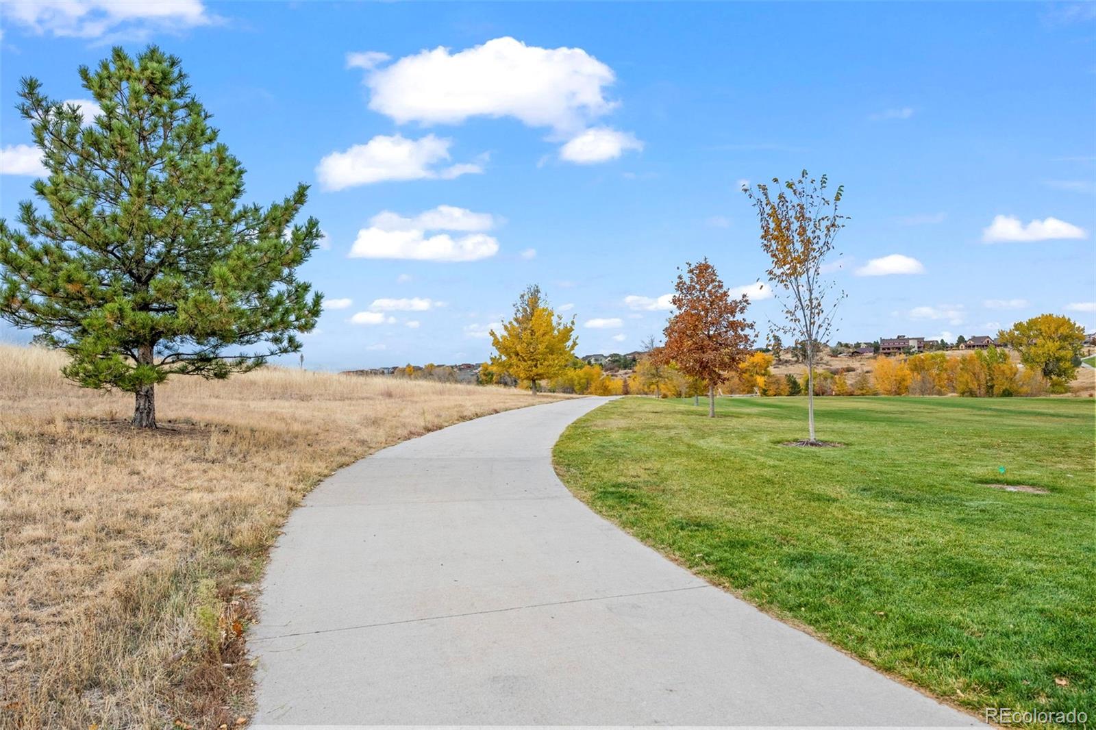 MLS Image #29 for 21795 e idyllwilde drive,parker, Colorado