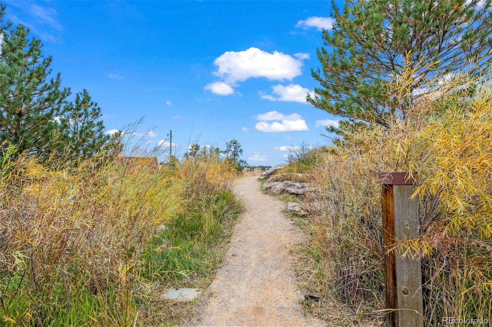 MLS Image #30 for 21795 e idyllwilde drive,parker, Colorado