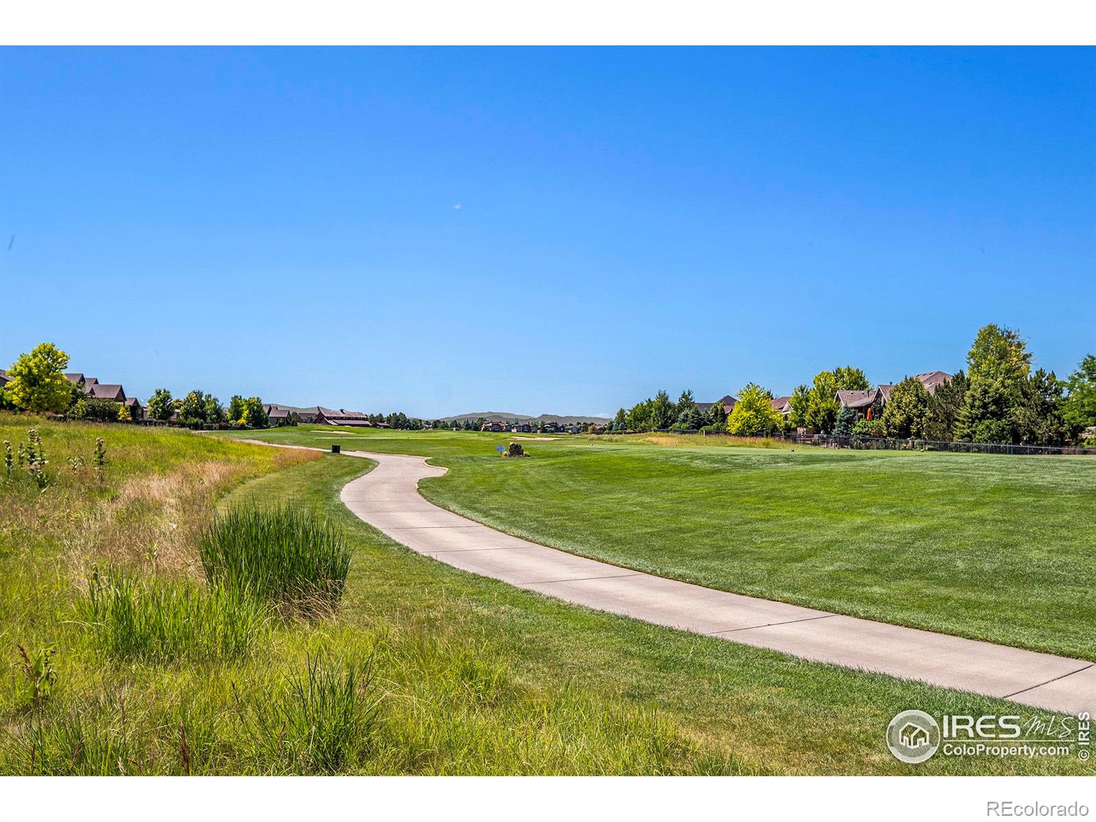 MLS Image #3 for 7288  crystal downs drive,windsor, Colorado