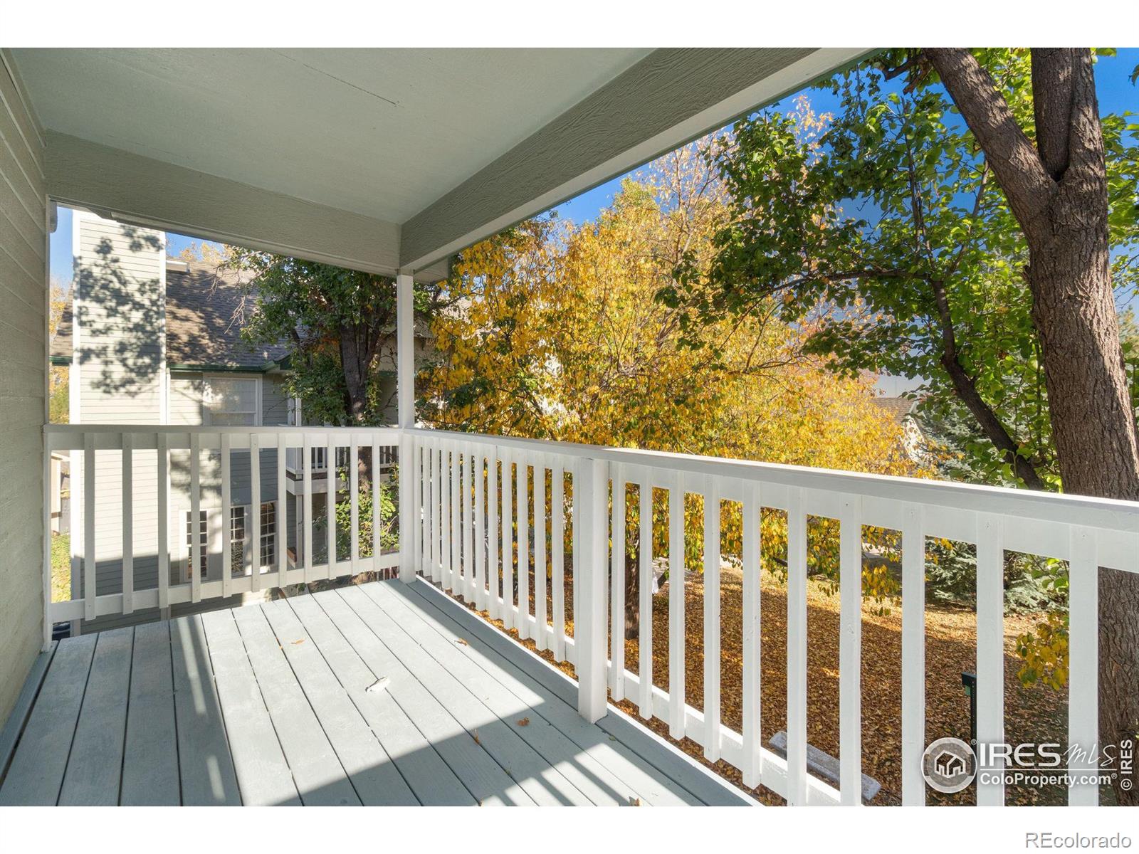 MLS Image #8 for 2828  silverplume drive,fort collins, Colorado