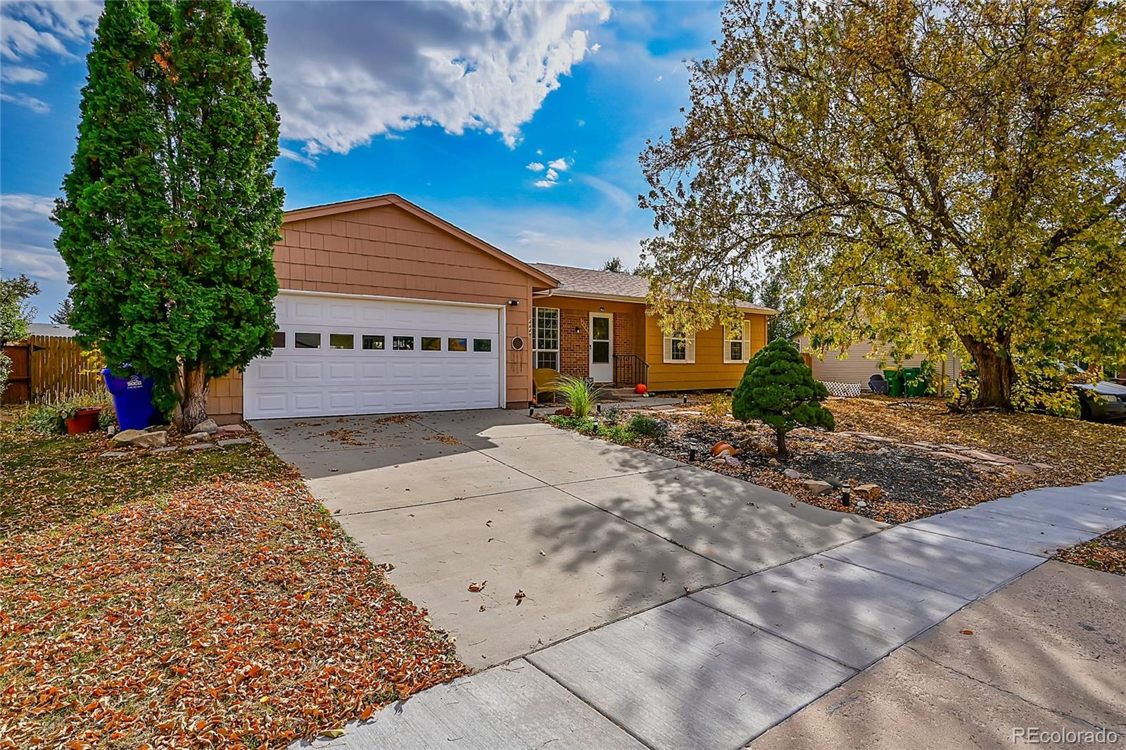 MLS Image #29 for 4449  wordsworth circle,colorado springs, Colorado